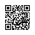 1KT-17251-01-00 