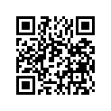 1L9-11656-00-00 Вкладыш Шатунный