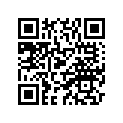 1L9-11656-20-00 Вкладыш Шатунный