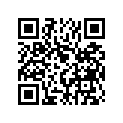 1L9-17141-00-00 