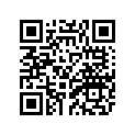 1LG-24865-00-00 ﾊﾞｽｹﾂﾄ,ﾌﾛﾝﾄ