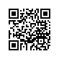 1LX-11651-00-00 . Rod, Connecting