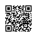 1M1-21110-01-33 FRAME