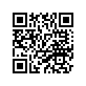1M1-81313-21-00 