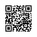 1NT-14141-13-00 