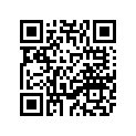 1NT-17670-00-00 Secondary Sliding Sheave