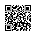 1RC-11165-00-00 Пластинка Металлическая