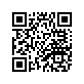 1VH-21110-00-33 Frame Comp