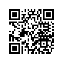 1VJ-24500-11-00 