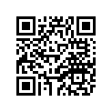 1VJ-83328-00-00 Stay, Flasher 2