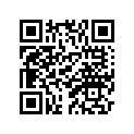 1W4-21711-00-00 