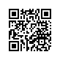 1WD-H3330-10-00 Указатель Поворота