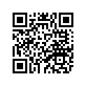 1WG-11656-20-00 Вкладыш Шатунный