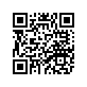 1WG-11656-30-00 Вкладыш Шатунный