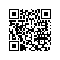 204061385 LADDER