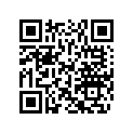 204070020 Poignee Lat.ga.*handle-lat.