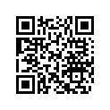 204071012 Cable Retenir  *cable-retaining ( )