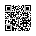 204071054 Amortisseur*shock-gas