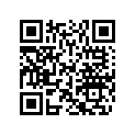204071388 Courroie Arr.   *strap-rear ( )
