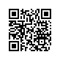 204071675 Plaque Fixat.*plate-fixation ( )