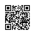 204072213 Montage-supp.*mount-tower Support ( )