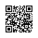 204072648 Montage-supp.*mount-tower Support