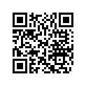204072901 Supp.amortis.*bracket-shock/stbd.