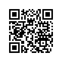 204390247 Supp.conduite  *support-steering