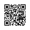 204390462 Volant Direct.*wheel-steering ( )