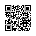 204471194 RADIO SUPPORT