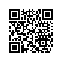 204471284 RADIO SUPPORT