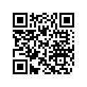 204613190 Panneau-inf.*panel-lower/stbd.