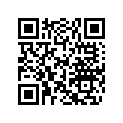 204614304 CUSHION-SEAT