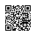 204901078 Logo-speedster*logo-speedster