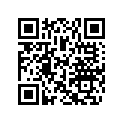 204901170 Logo Islandia*logo-islandia ( )