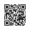204901376 Graph.carros.*graphic-deck/stbd.