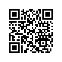 204901381 Graph.console*graphic-console