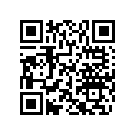 204901387 Graph.carr.*graphic-deck/stbd.