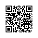 204901764 Graph.carros.*graphic-deck/port-rear ( )