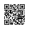 204901931 DECK GRAPHIC, STARBOARD