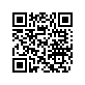 204950243 KIT-SERVICE / TOWER