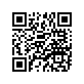 207-22210-31-JY Абсорбер удавный задний