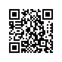 207-24730-00-00 DOUBLE SEAT ASY