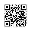 20S-21136-00-00 GUSSET
