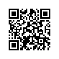 20S-82590-00-00 Провода Электрические (К-т)
