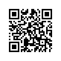 20X-83328-00-00 Stay, Flasher 2