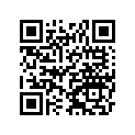 21003-S009 ステ-タ
