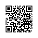 21011054050 Battery support