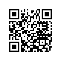 21039-3702 ブラシ，カ-ボン