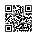 21070-013 CHAIN,CAM